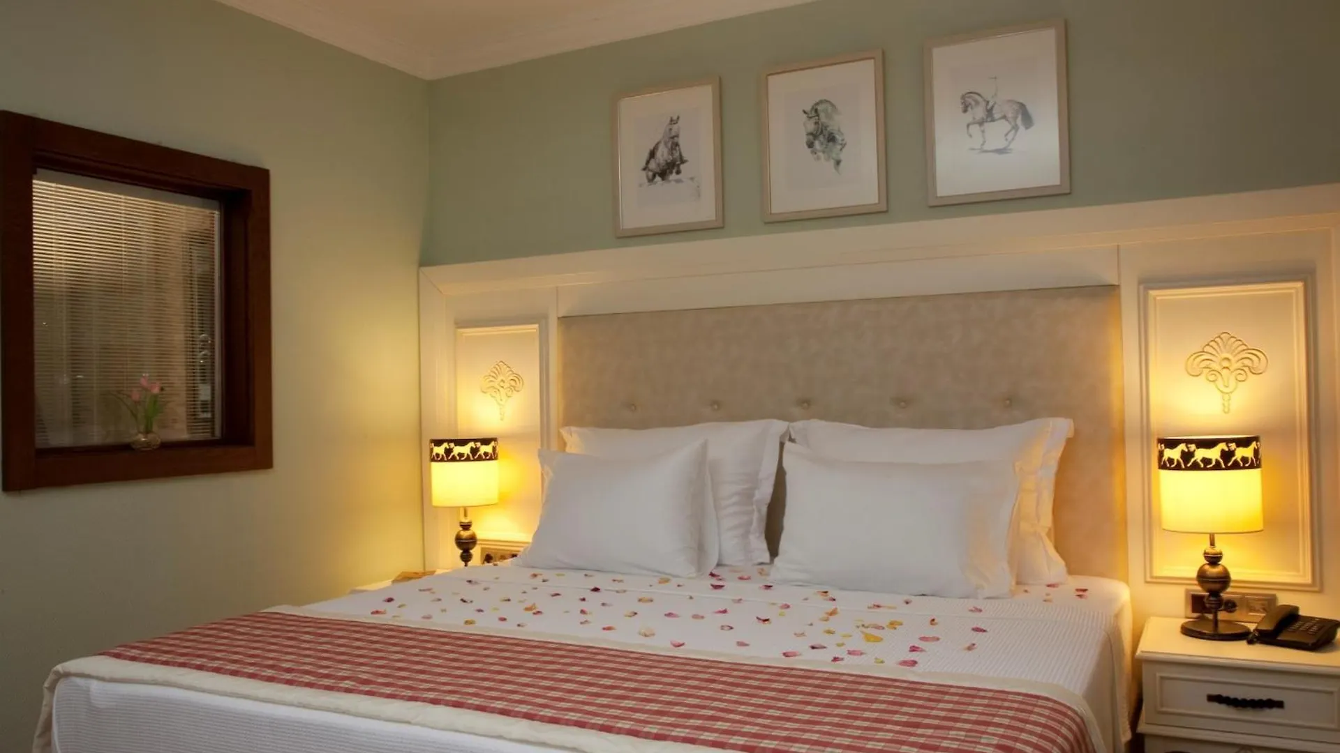 Padok Premium Hotel & Stables Gökova