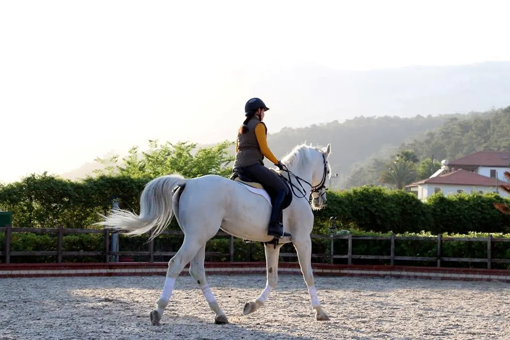 Padok Premium Hotel & Stables Gökova
