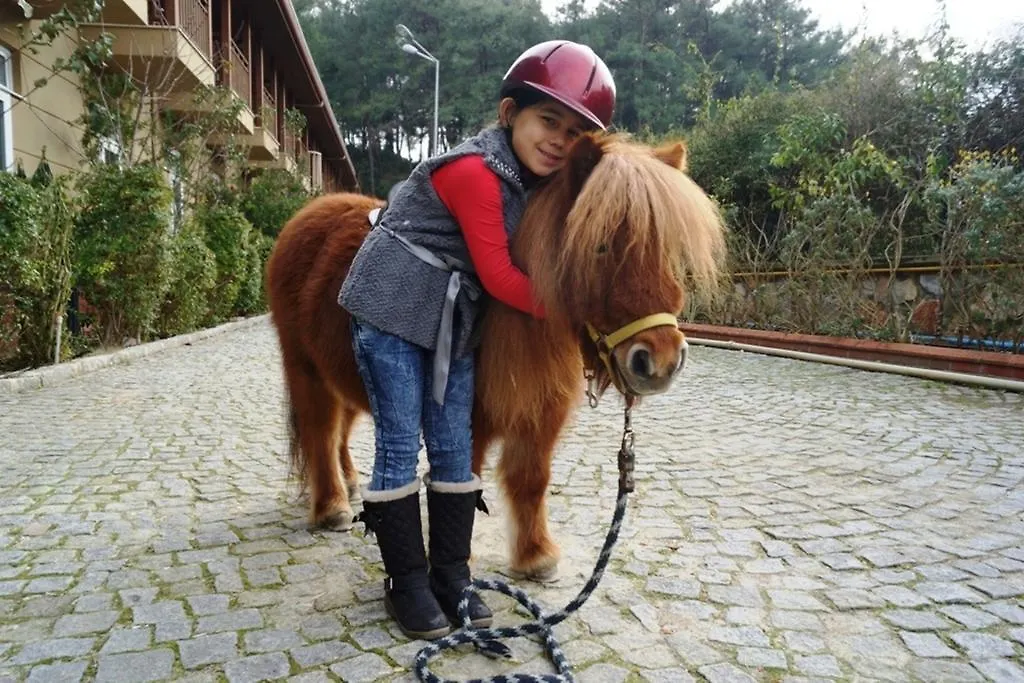Padok Premium Hotel & Stables Gökova