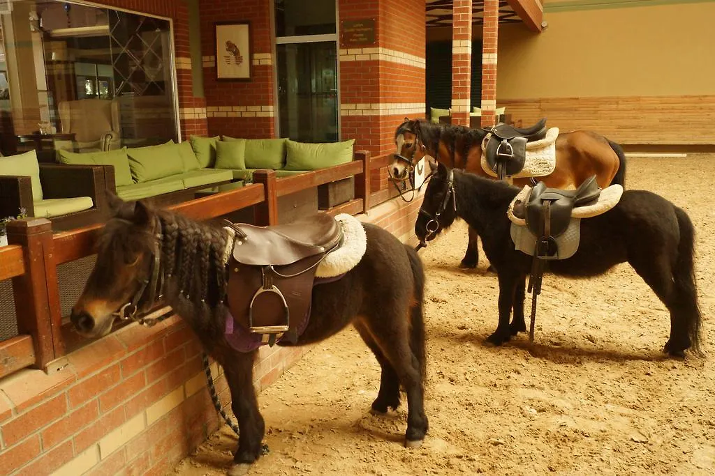 Padok Premium Hotel & Stables Gökova 4*,