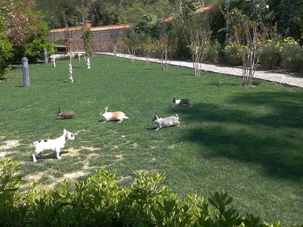 Padok Premium Hotel & Stables Gökova Türkiye