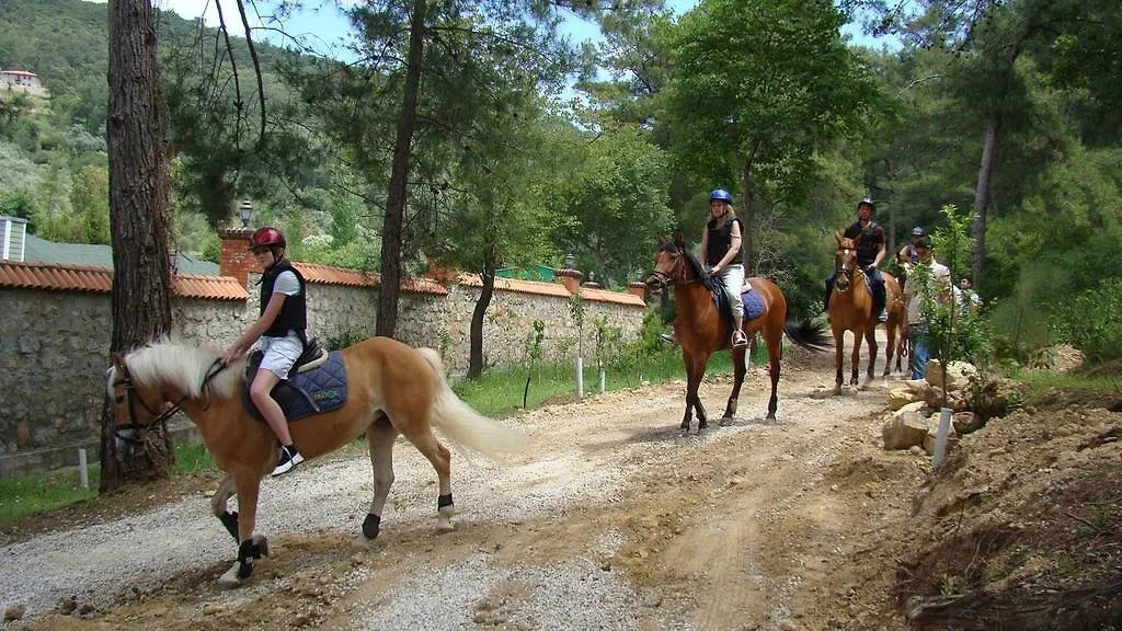 Padok Premium Hotel & Stables Gokova